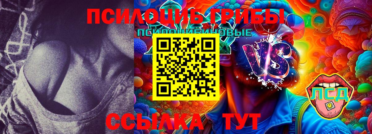 Псилоцибиновые грибы Magic Shrooms Кинешма