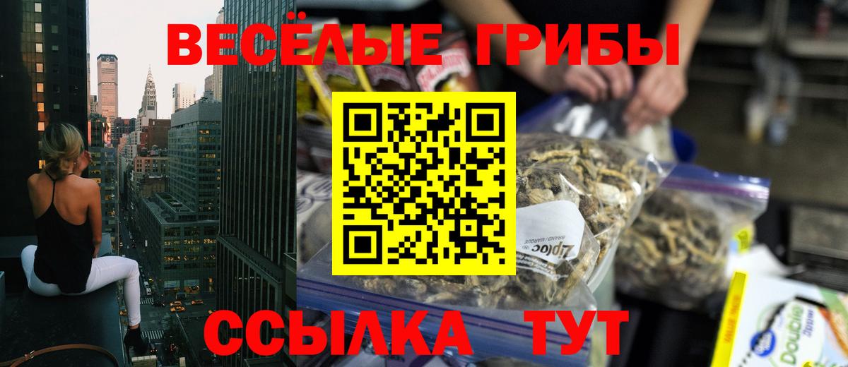 Кинешма  Галлюциногенные грибы MAGIC MUSHROOMS  Галлюциногенные грибы мухоморы  Вход с VPN 