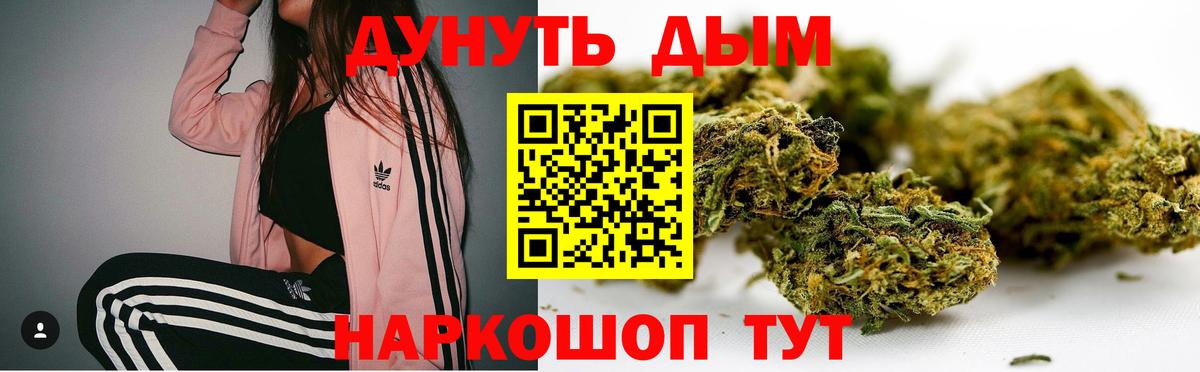 Бошки марихуана гибрид Кинешма